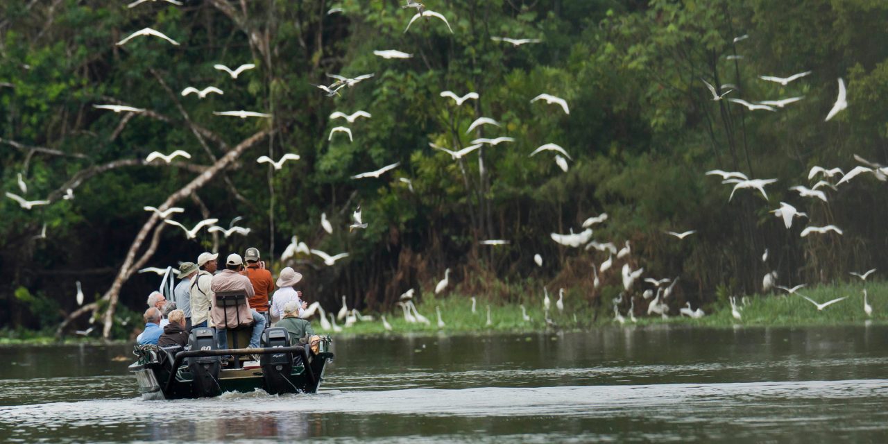 Amazon Rainforest