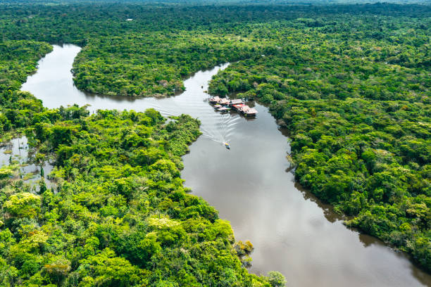 Amazon River
