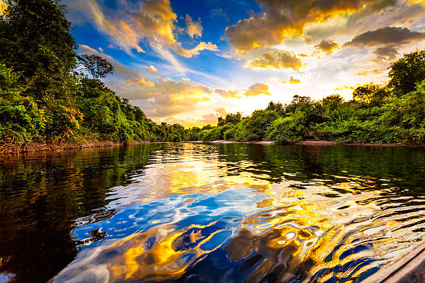 Amazon Sunset