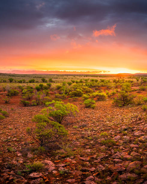 Outback sunset