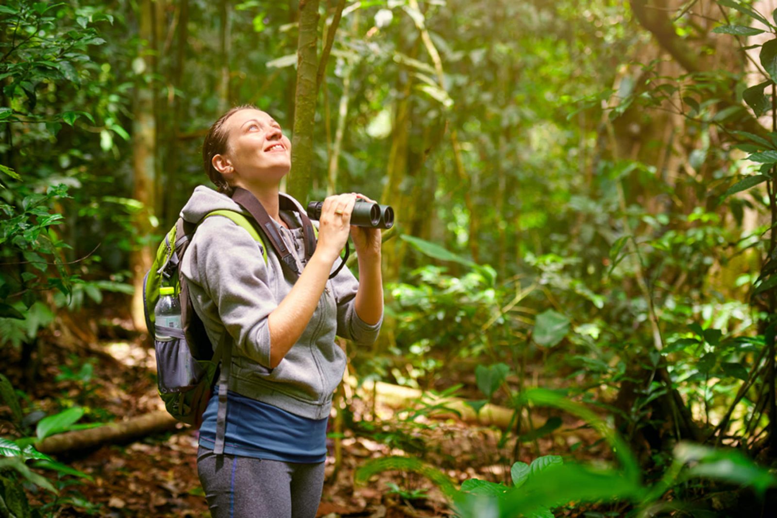 Borneo Birding Tour