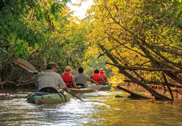 Amazon Adventure
