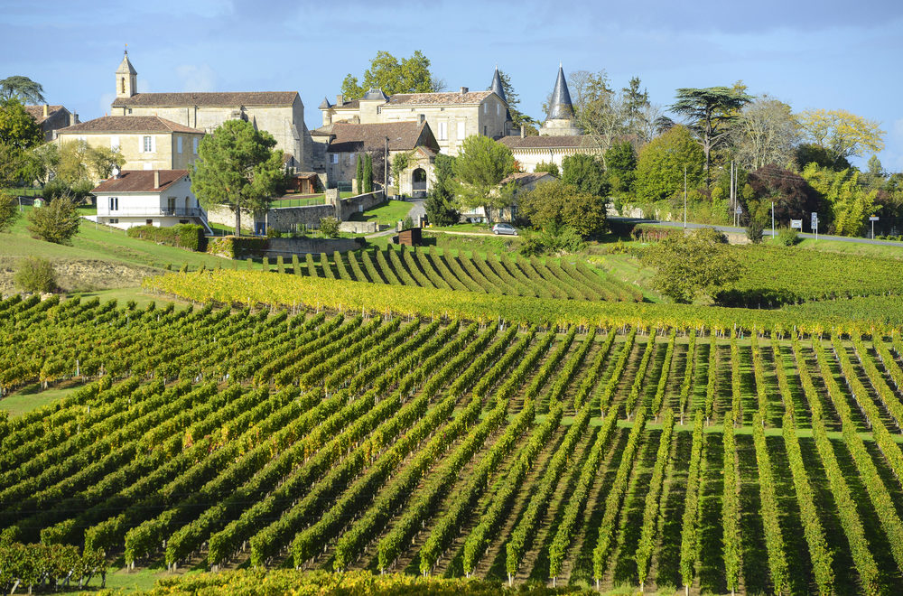 Vineyard Views