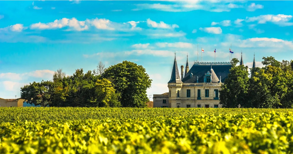 Bordeaux Vineyards