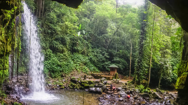 Borneo Waterfall