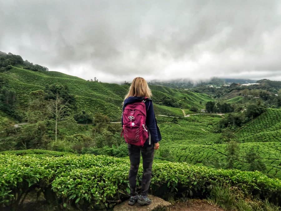 Cameron Highlands