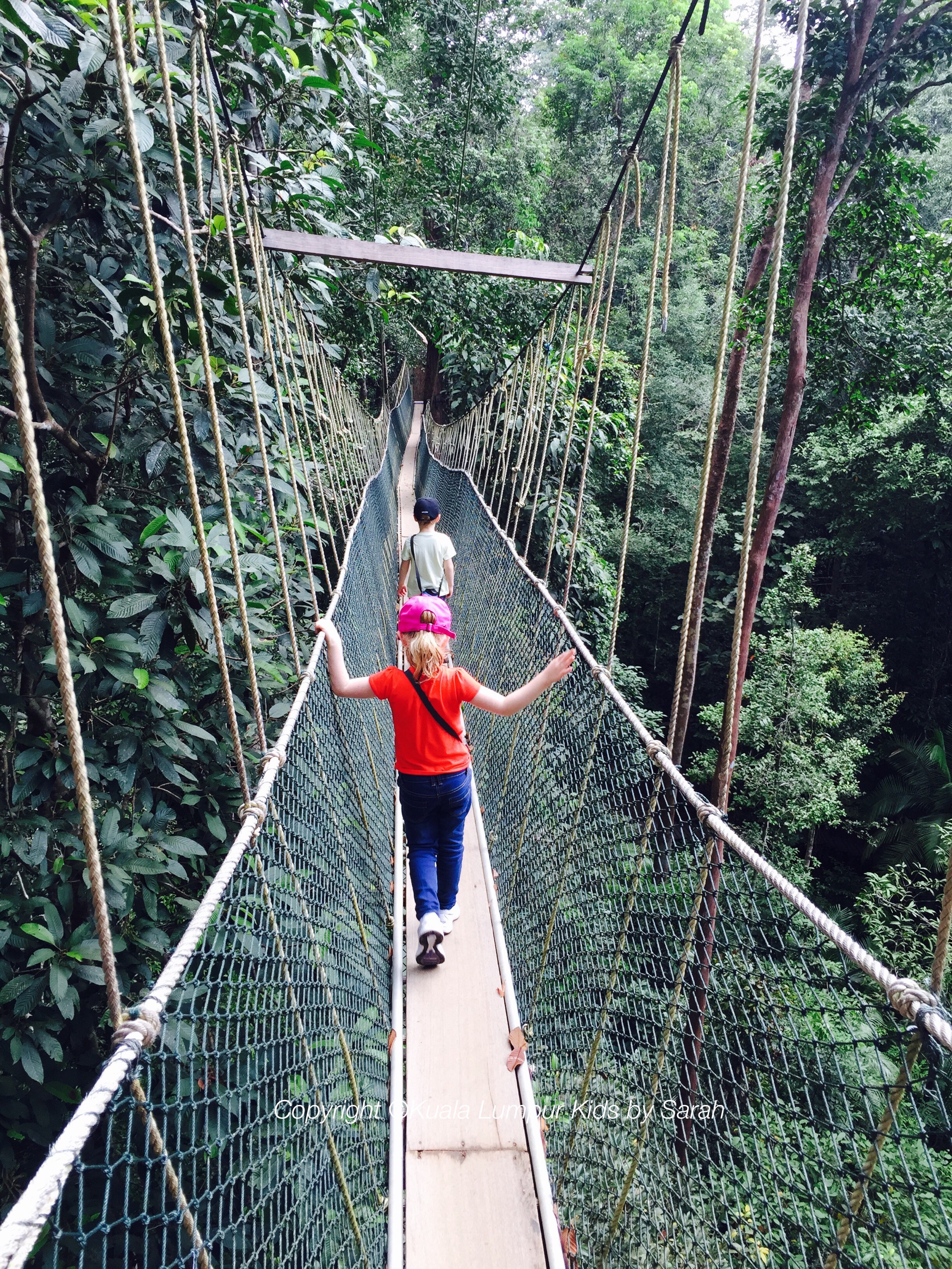 Canopy Walkway