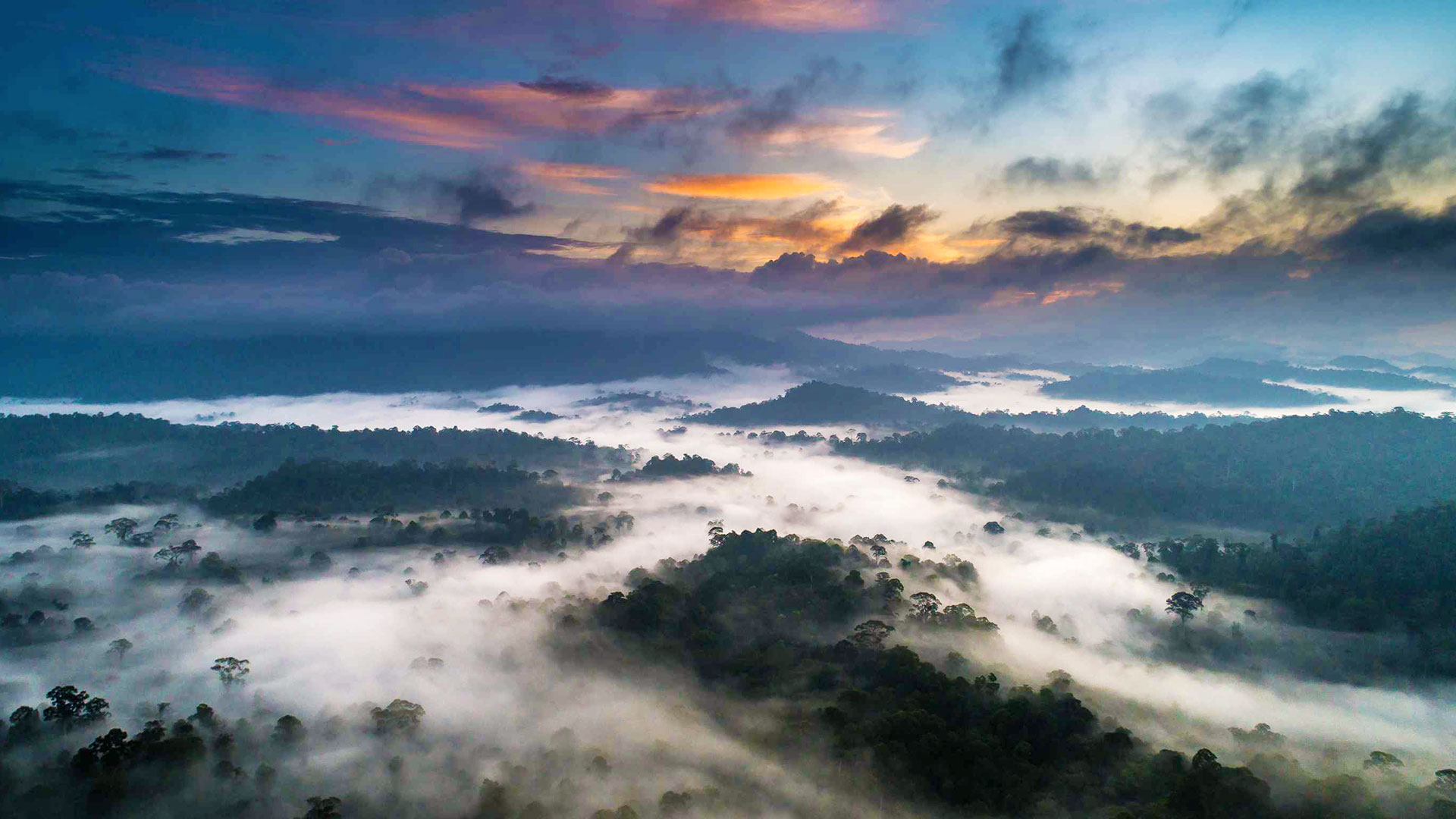 Danum Valley