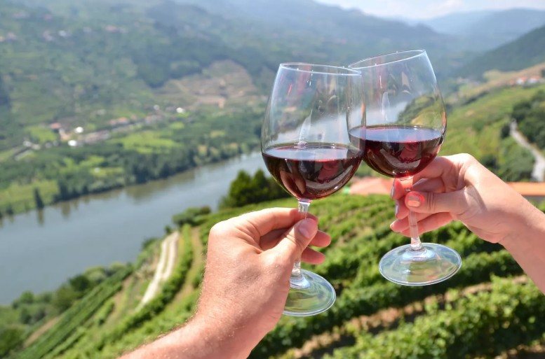 Wine tasting