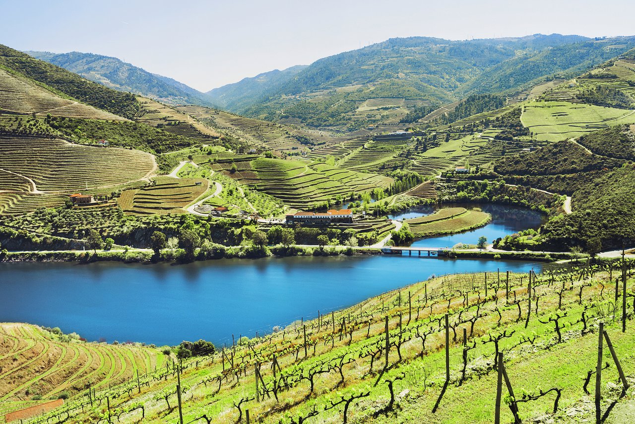 Vineyard tour