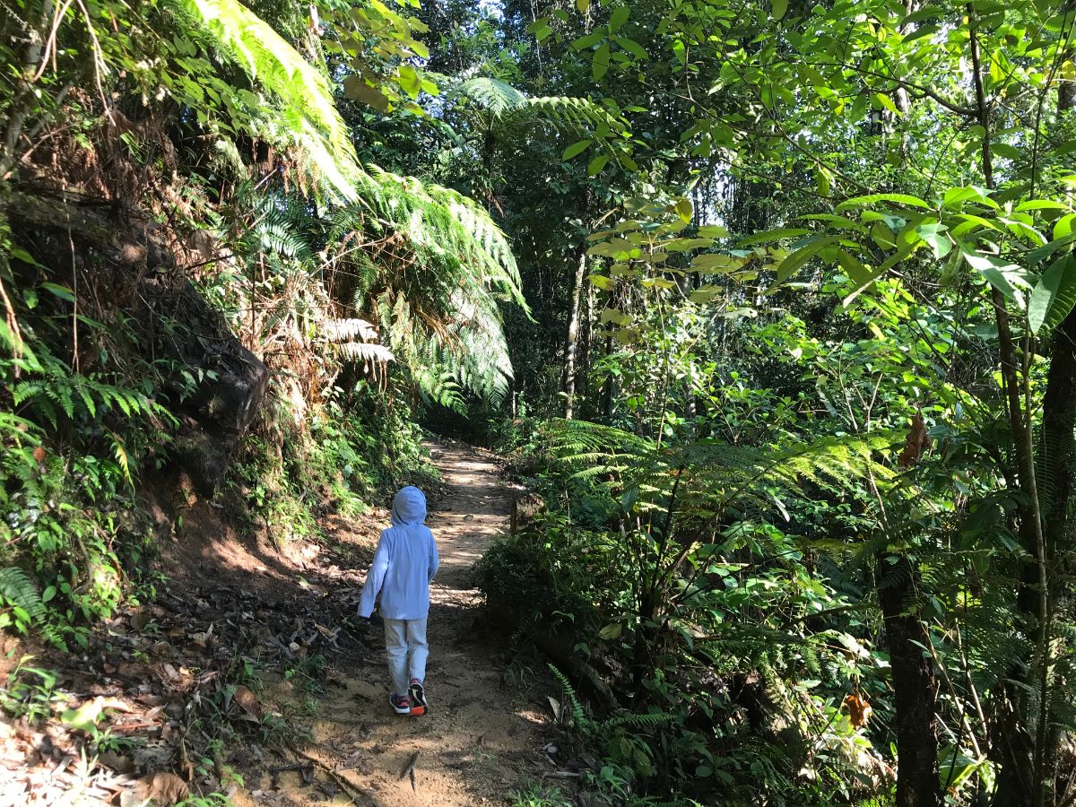 Nature Trails