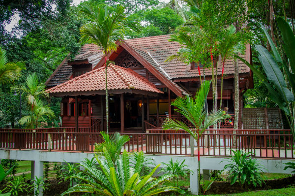 Rainforest Lodge