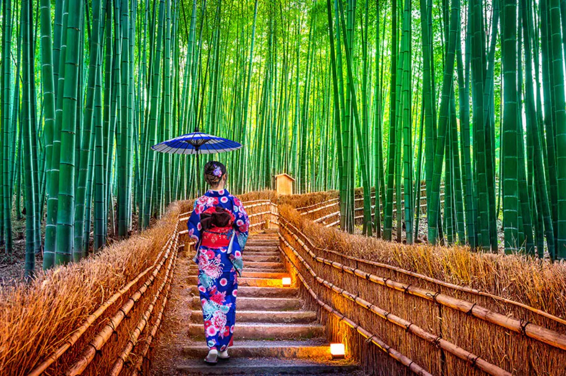 Bamboo