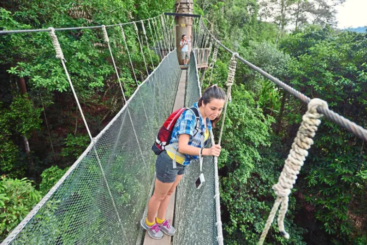 Canopy Walk