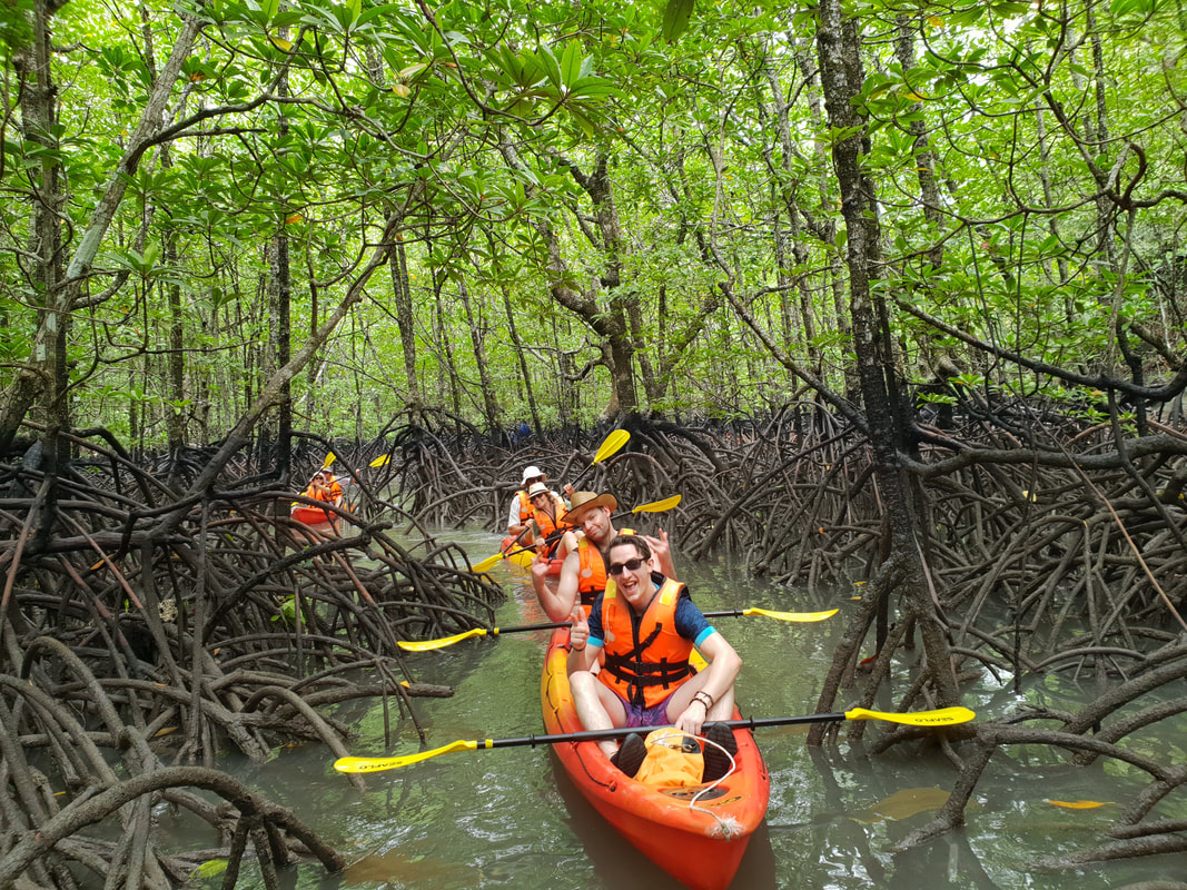 Mangrove Kayaking