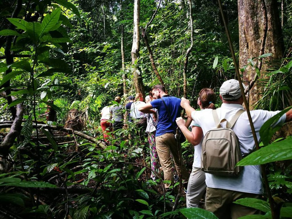Langkawi Jungle