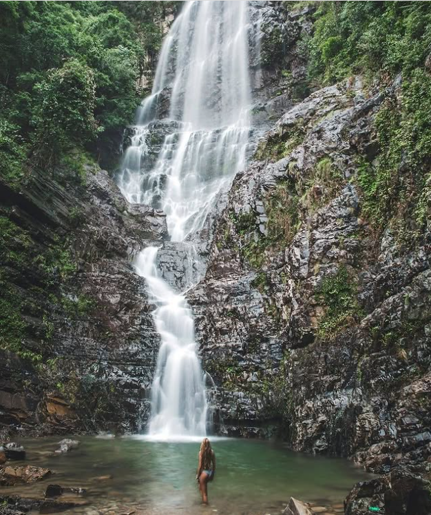 Jungle Waterfall
