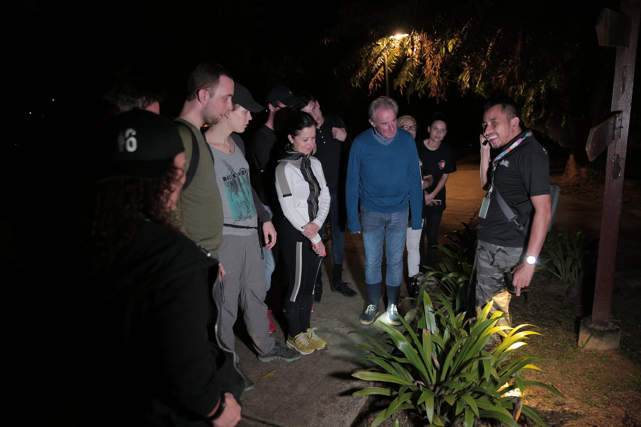 Night Jungle Walk