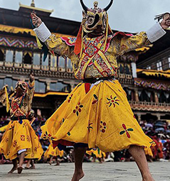 Cultural Experience