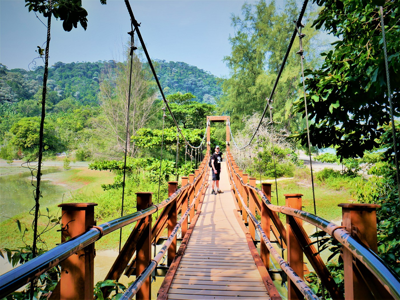 Penang National Park Tour