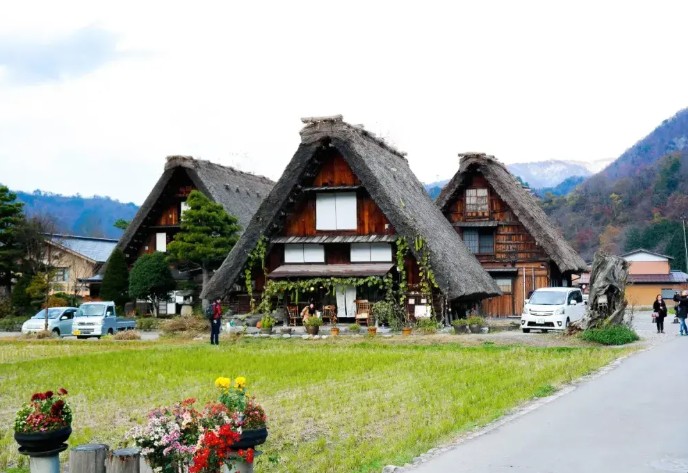Thatched roof village