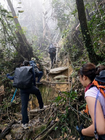 Jungle trekking