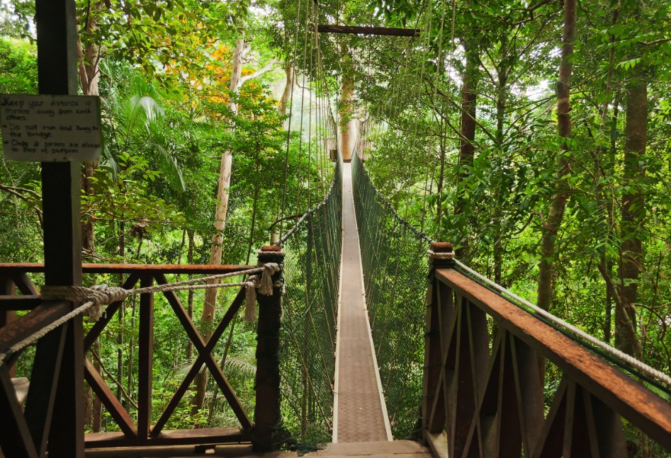 Taman Negara Tour