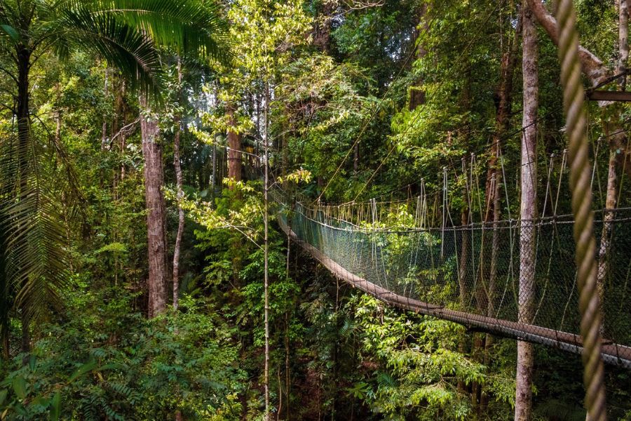 Taman Negara