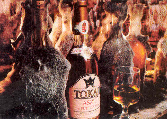 Tokaji wine
