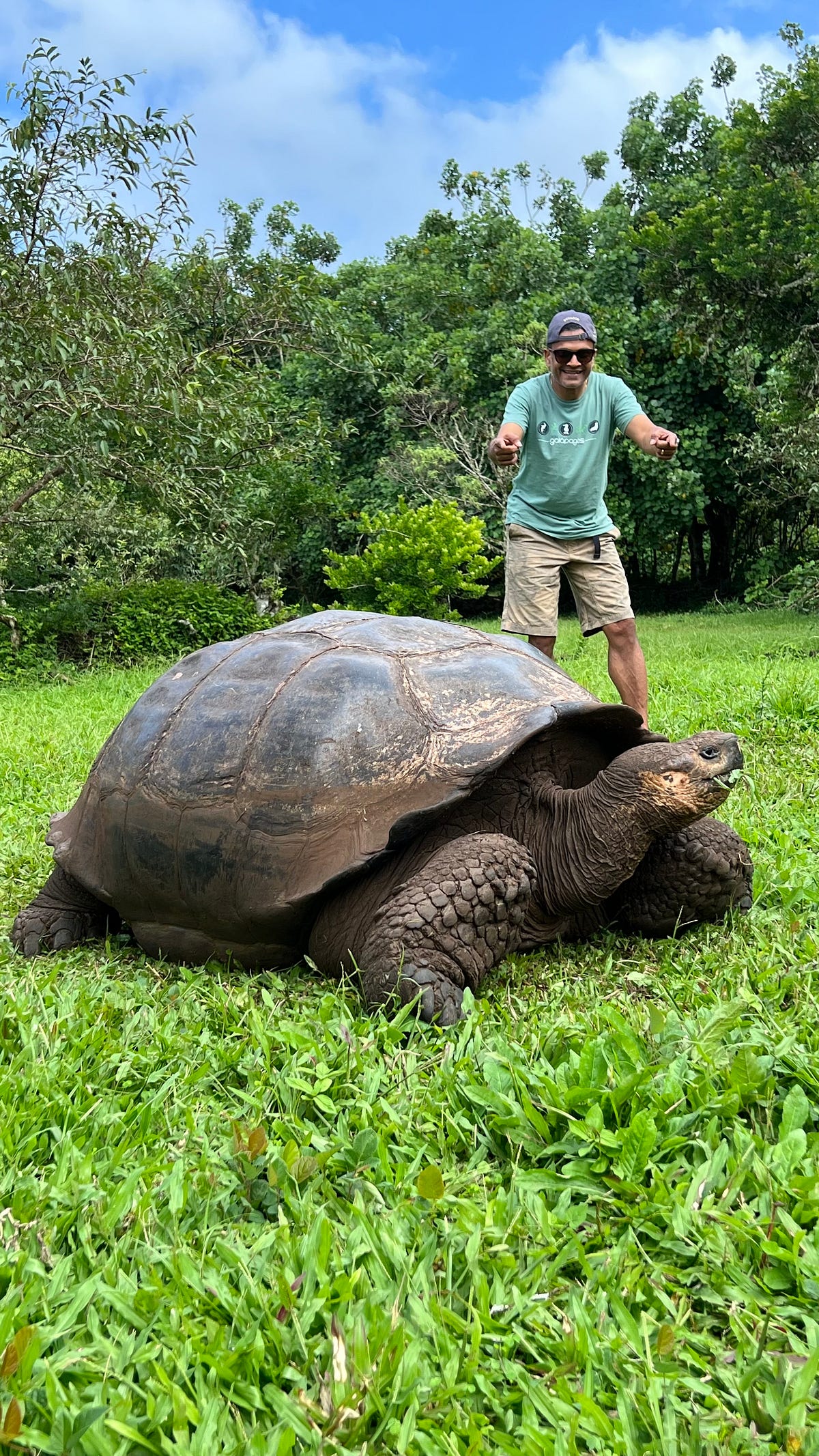 Giant Tortoise