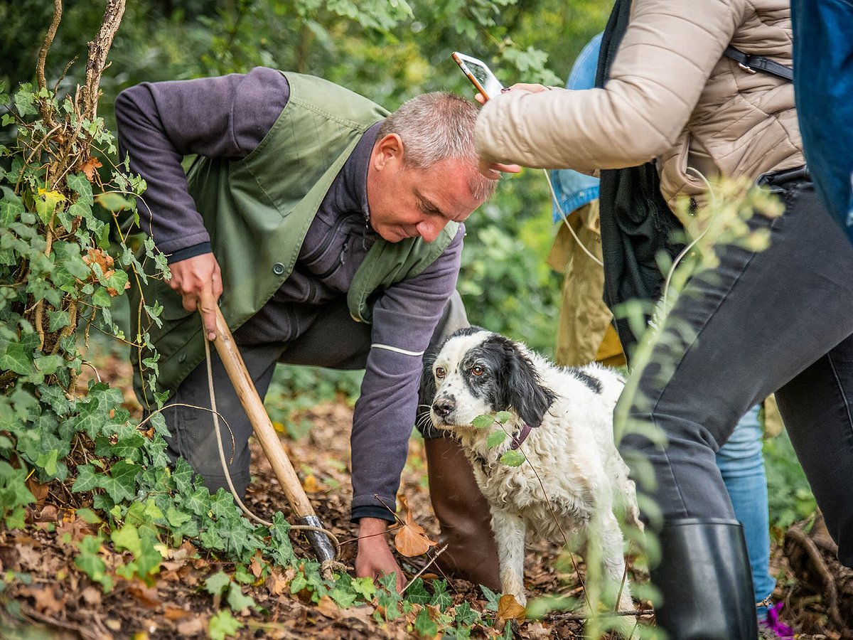 Truffle Hunting