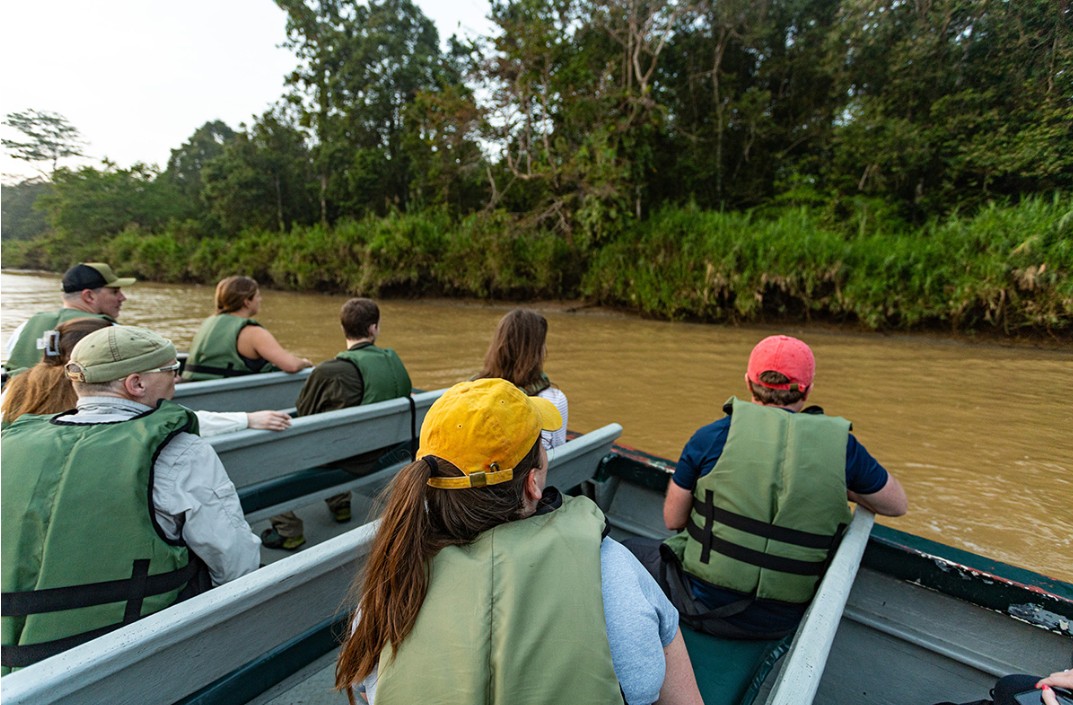 Malaysian wildlife